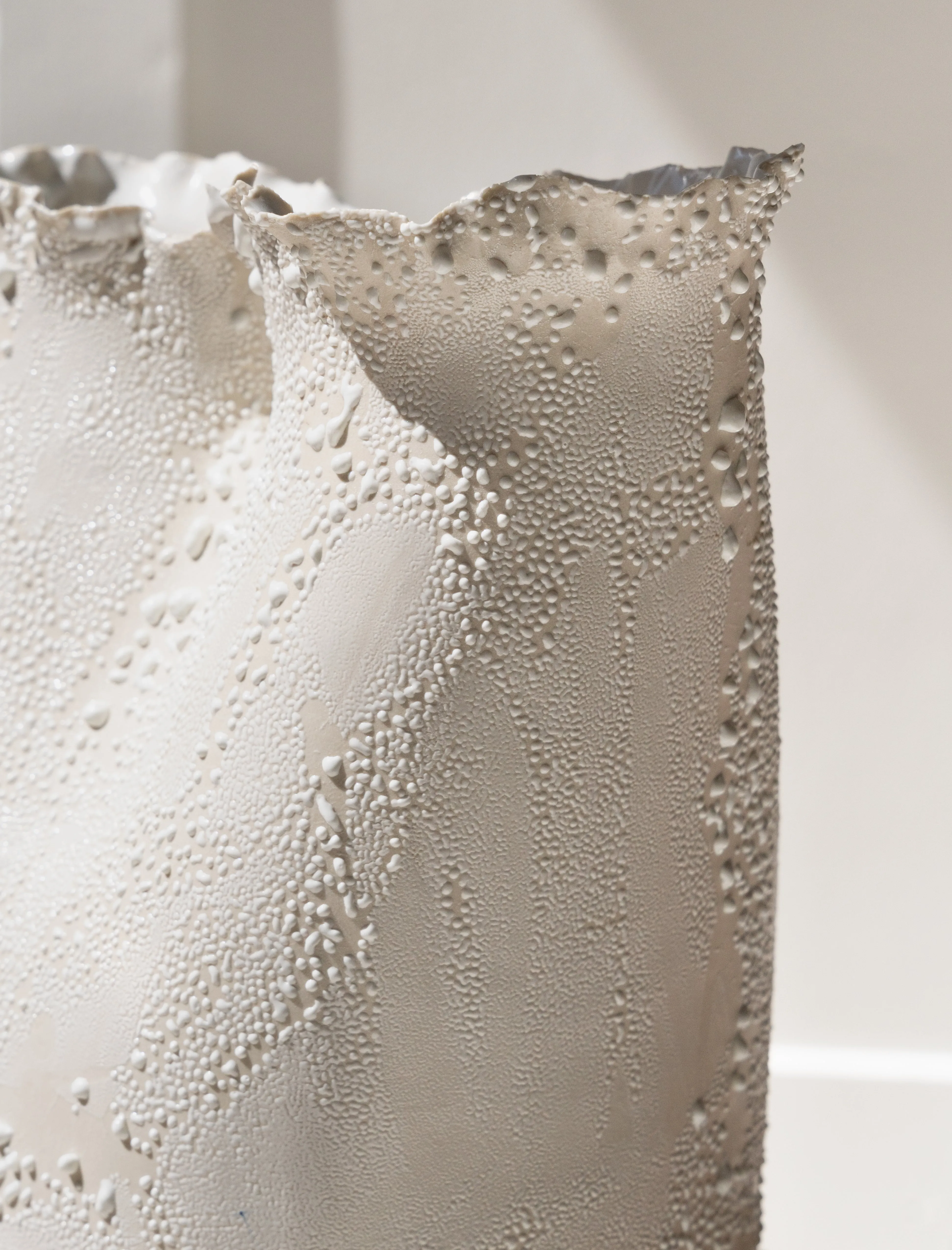 Double Flute Vase White Lichen