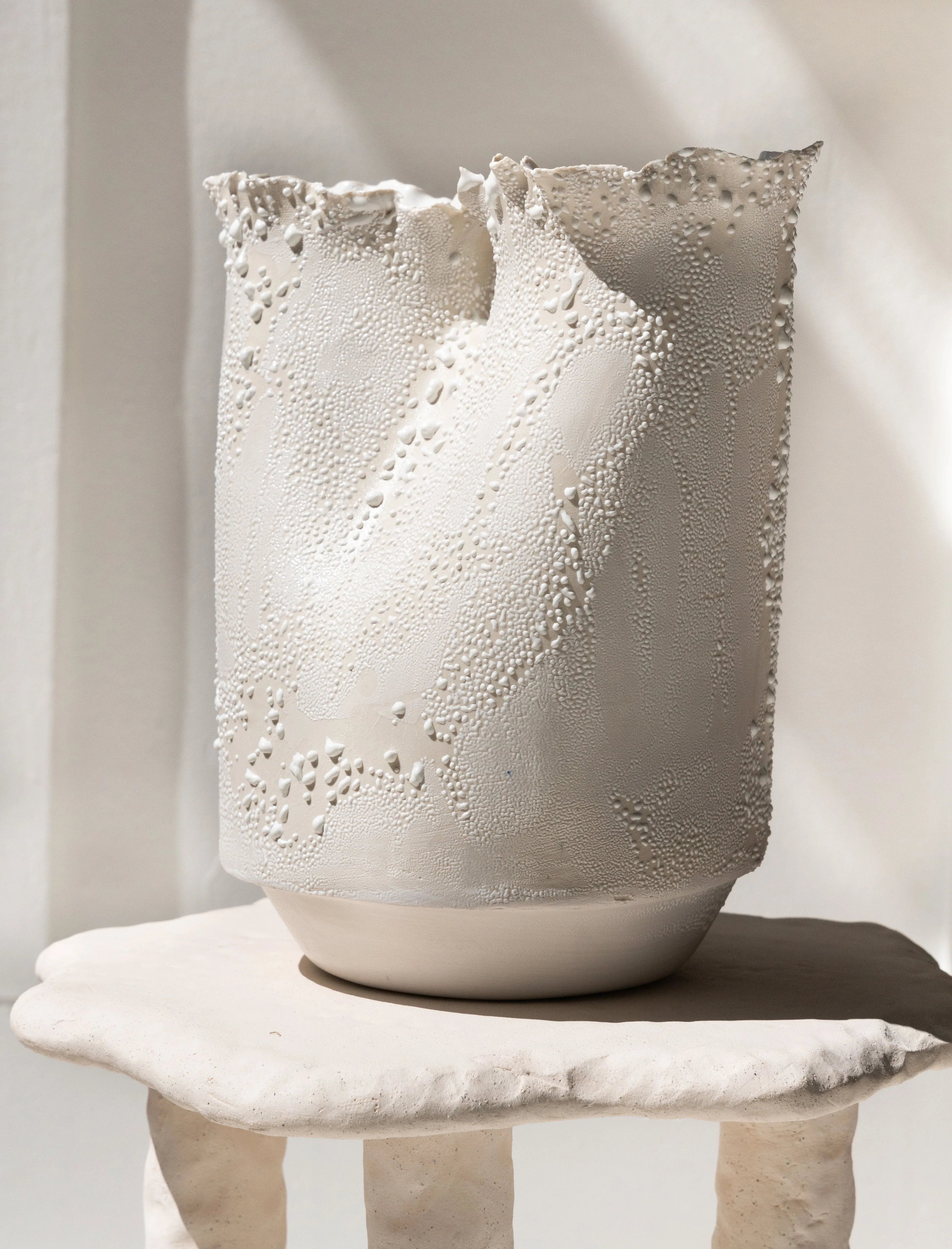 Double Flute Vase White Lichen
