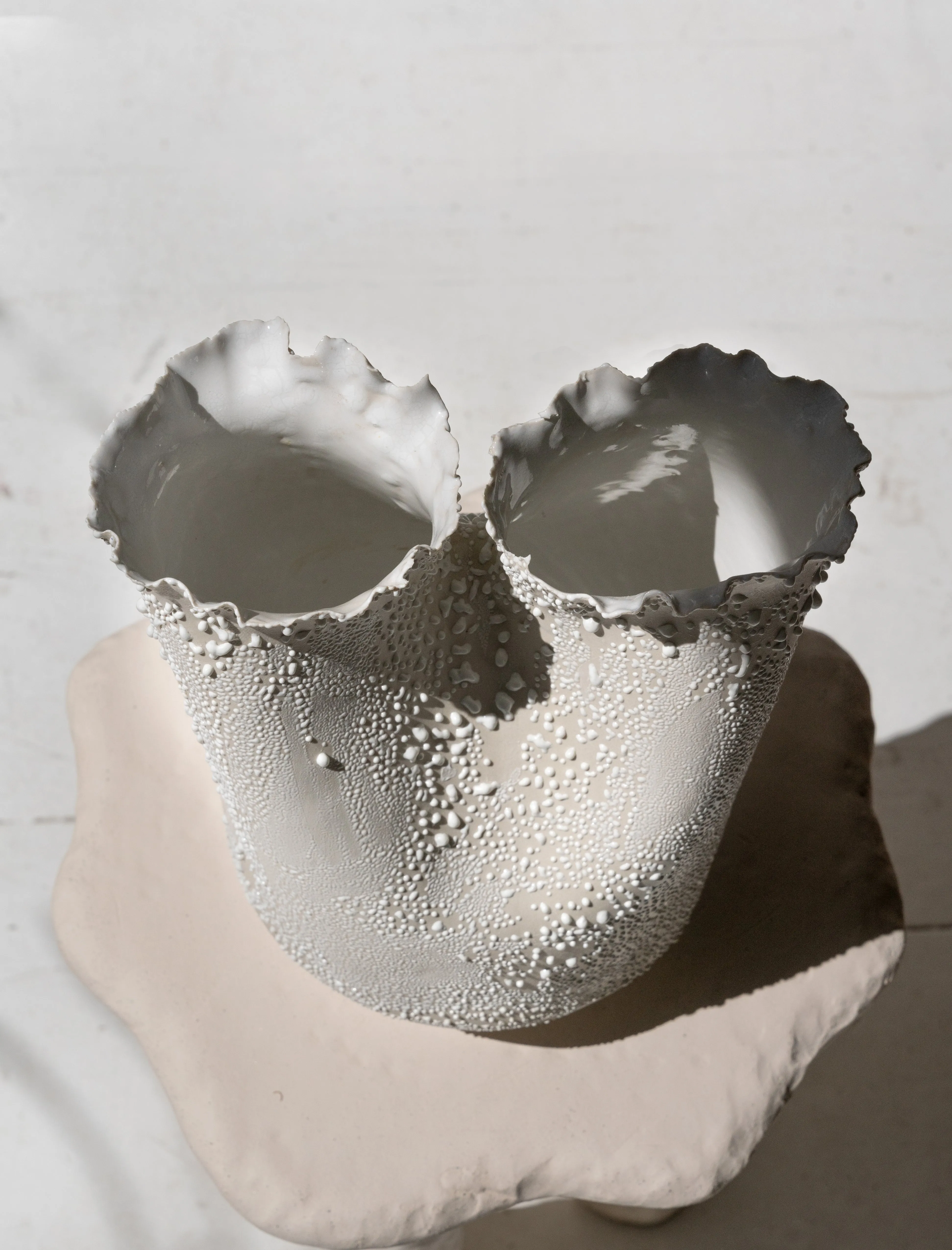 Double Flute Vase White Lichen