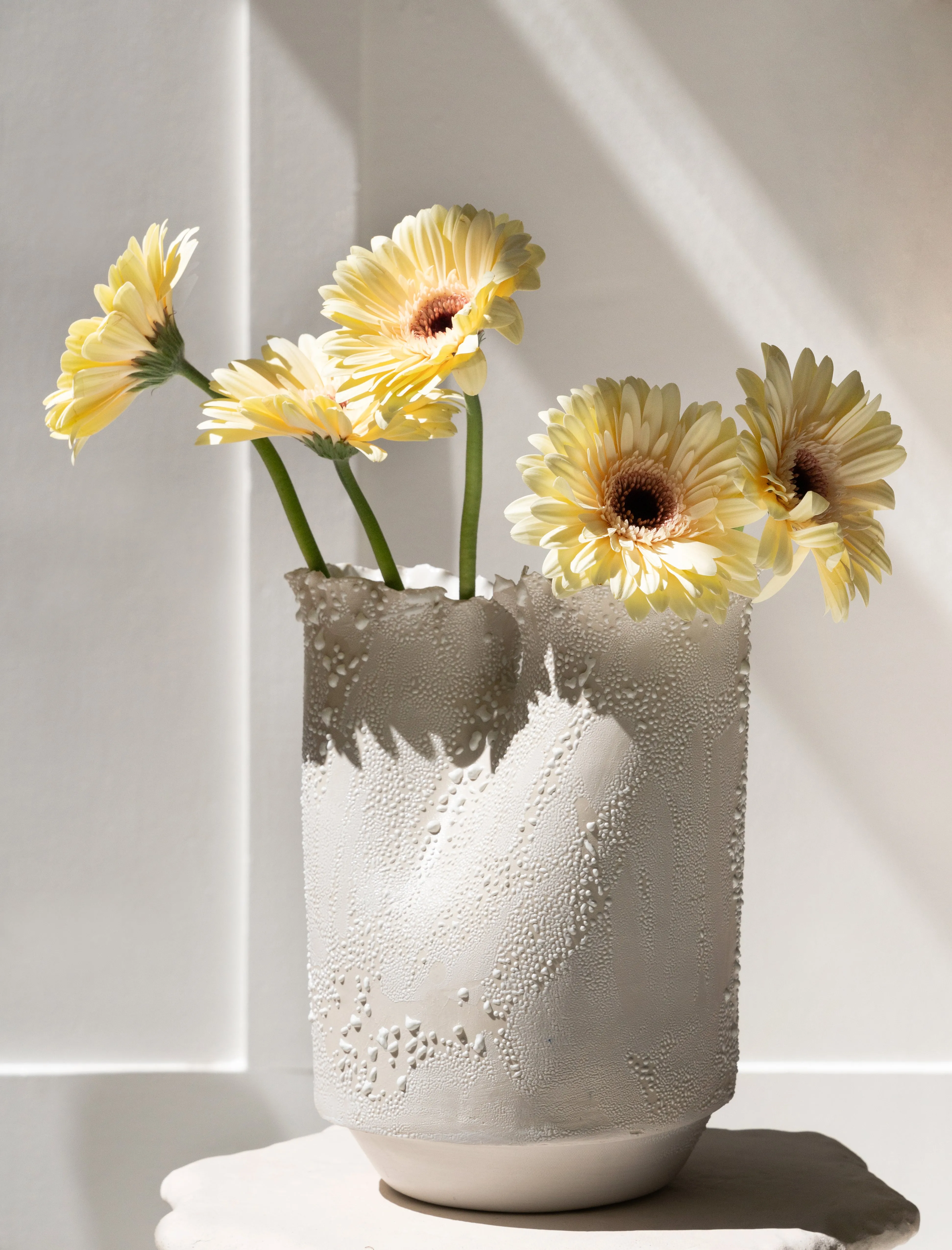 Double Flute Vase White Lichen